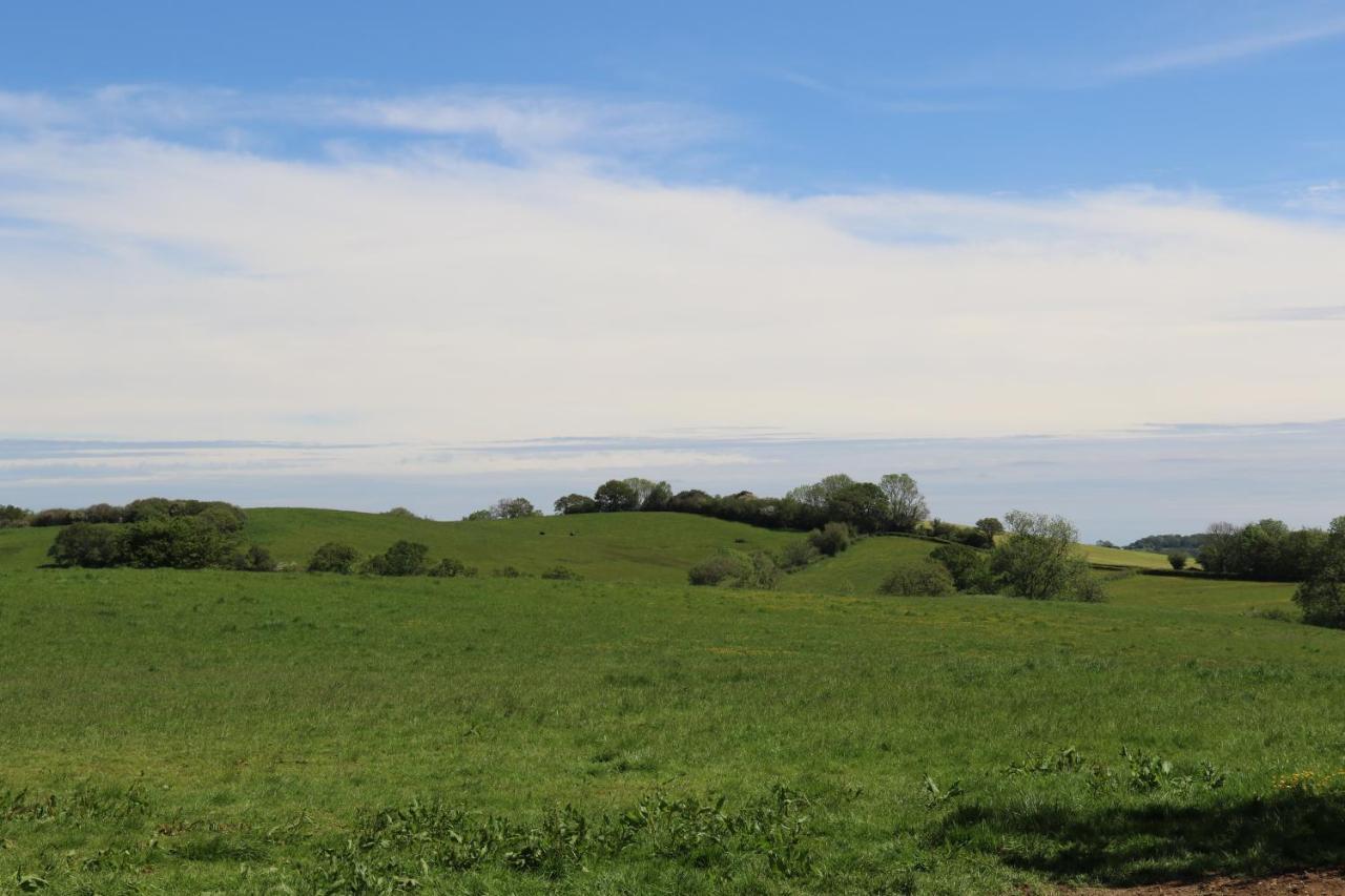 The Old Milking Parlour At Knapp Farm Dorchester Exteriör bild